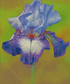 Purple Bearded Iris Flowering Plants 5D Diamond Paintings