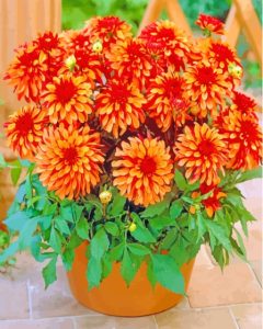 Red Orange Dahlia Pot 5D Diamond Painting