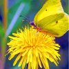 The Yellow Dandelion Butterfly Diamond Painting