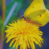 The Yellow Dandelion Butterfly Diamond Paintings