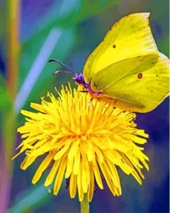 The Yellow Dandelion Butterfly Diamond Painting