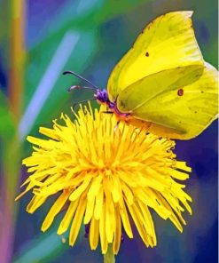 The Yellow Dandelion Butterfly Diamond Painting