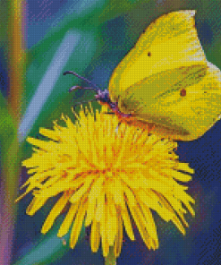 The Yellow Dandelion Butterfly Diamond Paintings