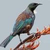 Tui On A Branch 5D Diamond Painting