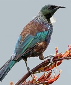 Tui On A Branch 5D Diamond Painting