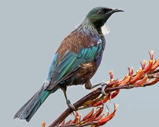 Tui On A Branch 5D Diamond Painting