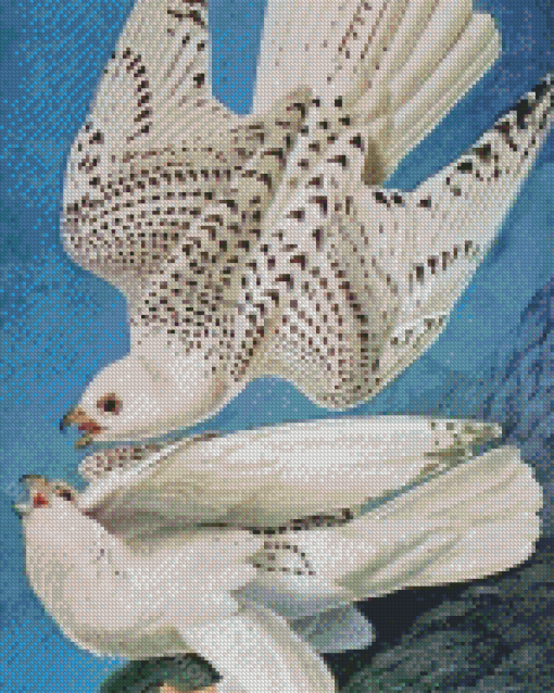 Aesthetic White Gyrfalcon Diamond Paintings