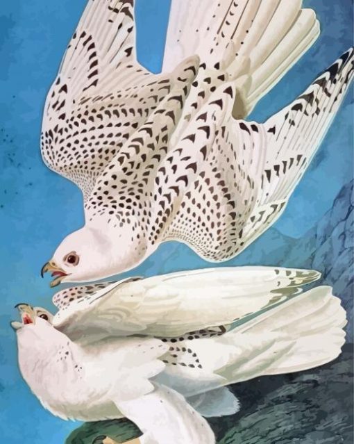 Aesthetic White Gyrfalcon Diamond Painting