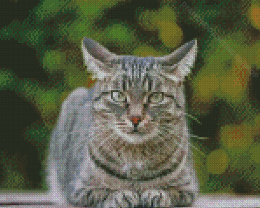 Grey Tabby Cat Pet 5D Diamond Paintings