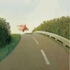 Running Pig Michael Sowa 5D Diamond Painting