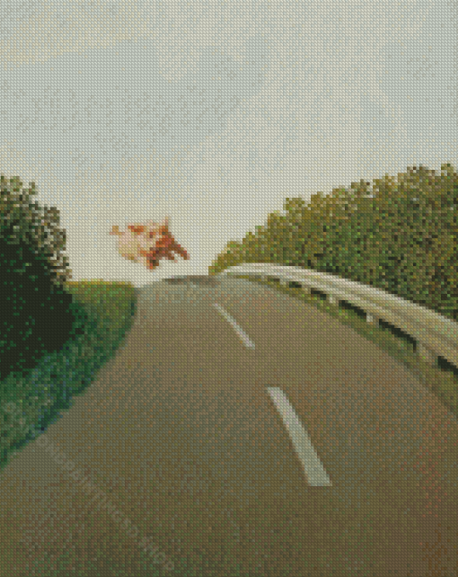 Running Pig Michael Sowa 5D Diamond Paintings