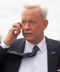Sully Miracle On The Hudson Tom Hanks Diamond Painting