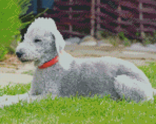 Aesthetic Bedlington Terrier Animal Diamond Paintings