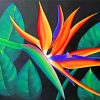 Aesthetic Bird Of Paradise Flower Diamond Painting