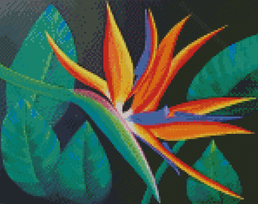 Aesthetic Bird Of Paradise Flower Diamond Paintings