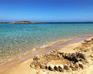 Aesthetic Fig Tree Bay Beach Diamond Painting