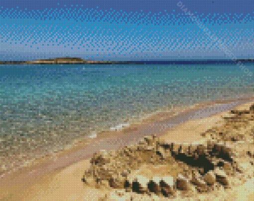 Aesthetic Fig Tree Bay Beach Diamond Paintings