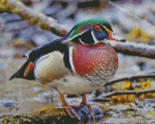 American Wood Duck Diamond Paintings