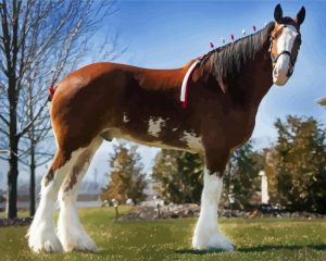 Beautiful Draft Horse Diamond Painting