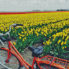 Bicycle And Tulips Field Diamond Paintings