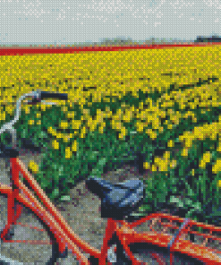 Bicycle And Tulips Field Diamond Paintings