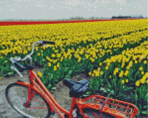 Bicycle And Tulips Field Diamond Paintings