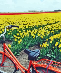 Bicycle And Tulips Field Diamond Painting
