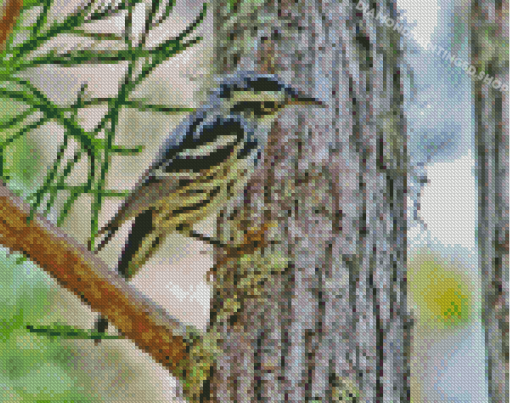 Black And White Bird On Tree Diamond Paintings