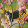 Black And White Cat In Cherry Tree Diamond Paintings