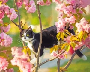 Black And White Cat In Cherry Tree Diamond Painting