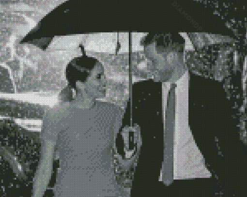 Black And White Harry And Meghan Diamond Paintings