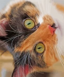 Black And Orange Tabby Kitten Diamond Paintings