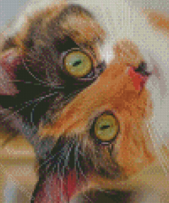 Black And Orange Tabby Kitten Diamond Painting