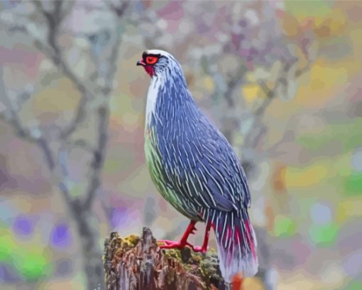 Blood Pheasant Bird Diamond Painting