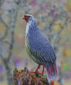 Blood Pheasant Bird Diamond Paintings