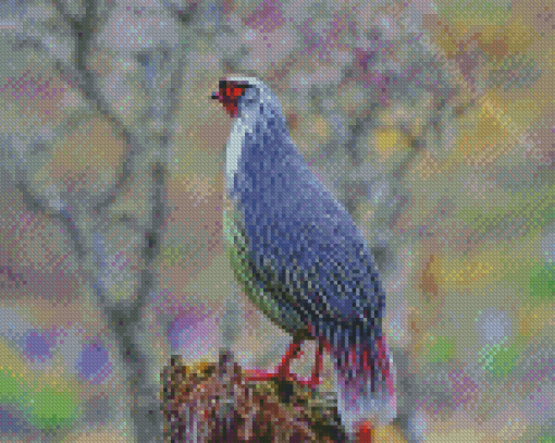 Blood Pheasant Bird Diamond Paintings