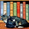 Cat And Books Diamond Painting