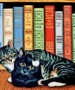 Cat And Books Diamond Painting