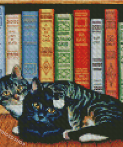 Cat And Books Diamond Paintings