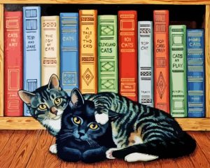 Cat And Books Diamond Painting