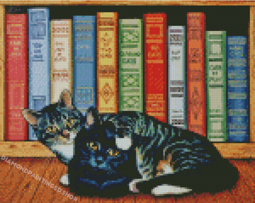 Cat And Books Diamond Paintings