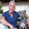 Cesar Millan Diamond Painting