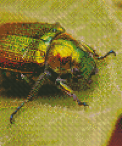 Christmas Beetle On Leaf Diamond Paintings