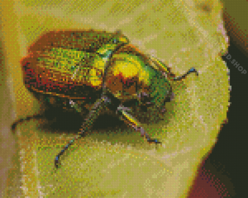 Christmas Beetle On Leaf Diamond Paintings