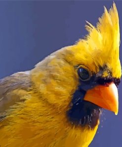 Close Up Yellow Cardinal Diamond Painting