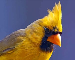 Close Up Yellow Cardinal Diamond Painting