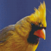 Close Up Yellow Cardinal Diamond Paintings