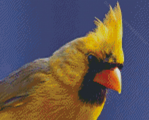 Close Up Yellow Cardinal Diamond Paintings