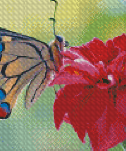 Colorful Butterfly On Pink Flower Diamond Paintings