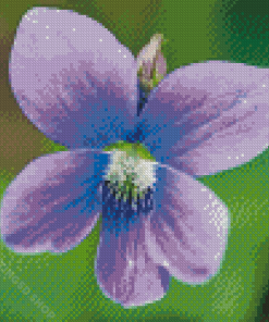 Common Blue Violet Diamond Paintings